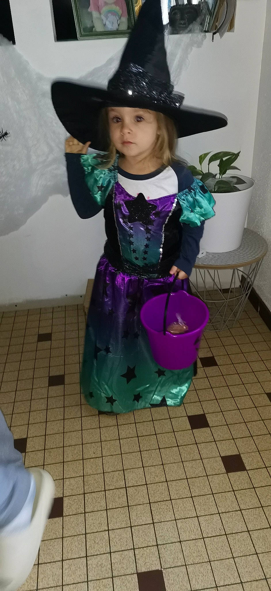 Yris participe au concours pour gagner de l'argent avec cette photo : child, costume, costume_hat, dress, electric_blue, event, fashion_accessory, flowerpot, fun, hat, headwear, houseplant, magenta, person, photograph, plant, purple, smile, snapshot, sun_hat