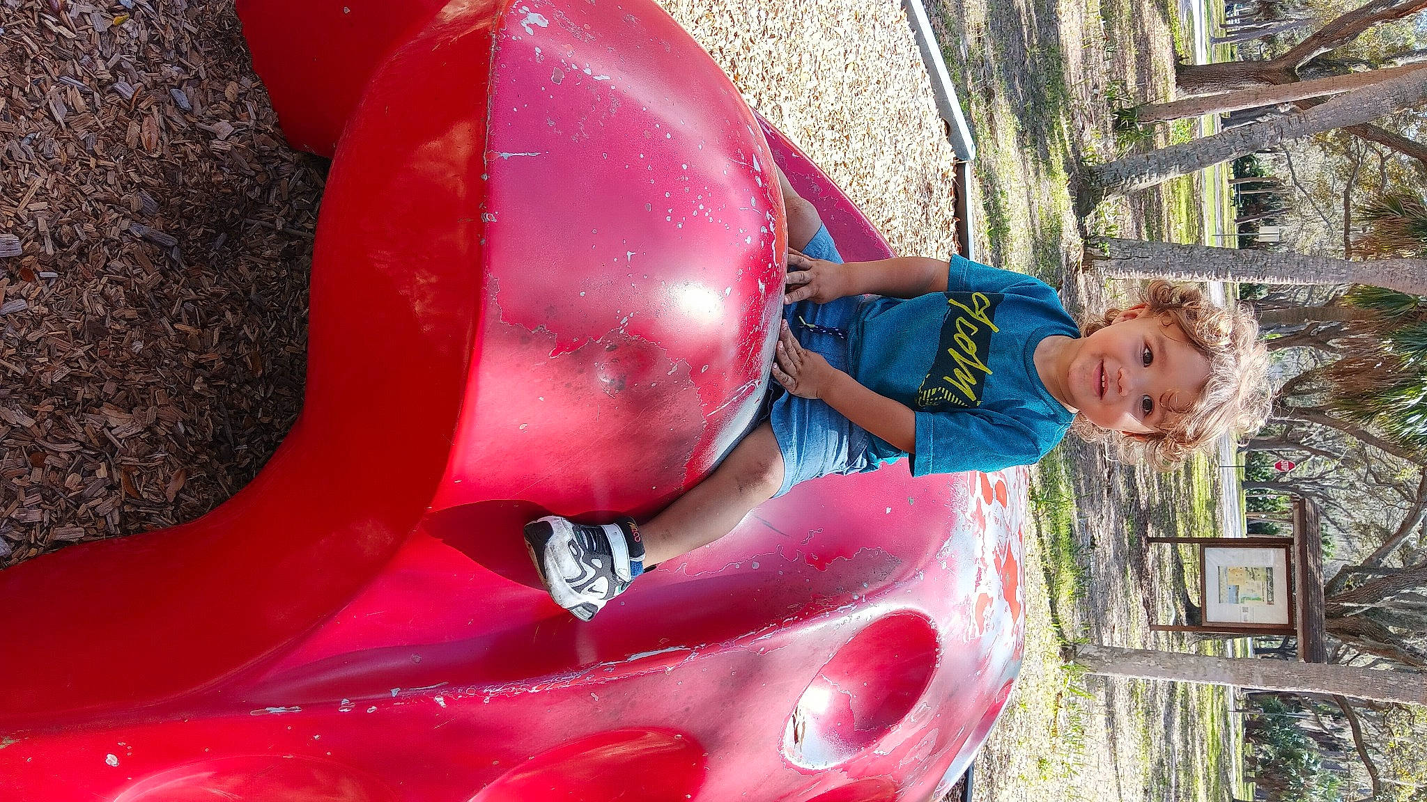 Kaycen joined the competition — help win amazing prizes! automotive_wheel_system, bumper, chute, city, clothing, fun, inflatable, joy, leisure, magenta, motor_vehicle, outdoor_play_equipment, outdoor_recreation, person, pink, play, playground, playground_slide, recreation, smile