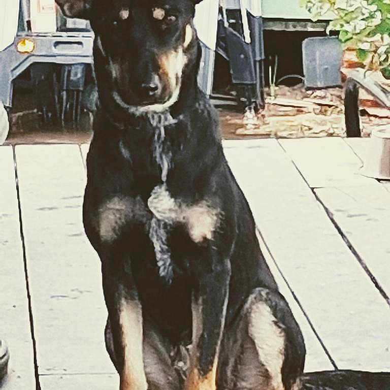 Elsa