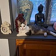 Shiva participe au concours pour gagner de l'argent avec cette photo : cat, windowsill, statue, buddha, clock, decor, curtains, wooden_cabinet, indoor, pet, feline, relaxing, home, ornament, figurine, lace, curiosity, white, gray, striped
