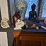 cat, windowsill, statue, buddha, clock, decor, curtains, wooden_cabinet, indoor, pet, feline, relaxing, home, ornament, figurine, lace, curiosity, white, gray, striped