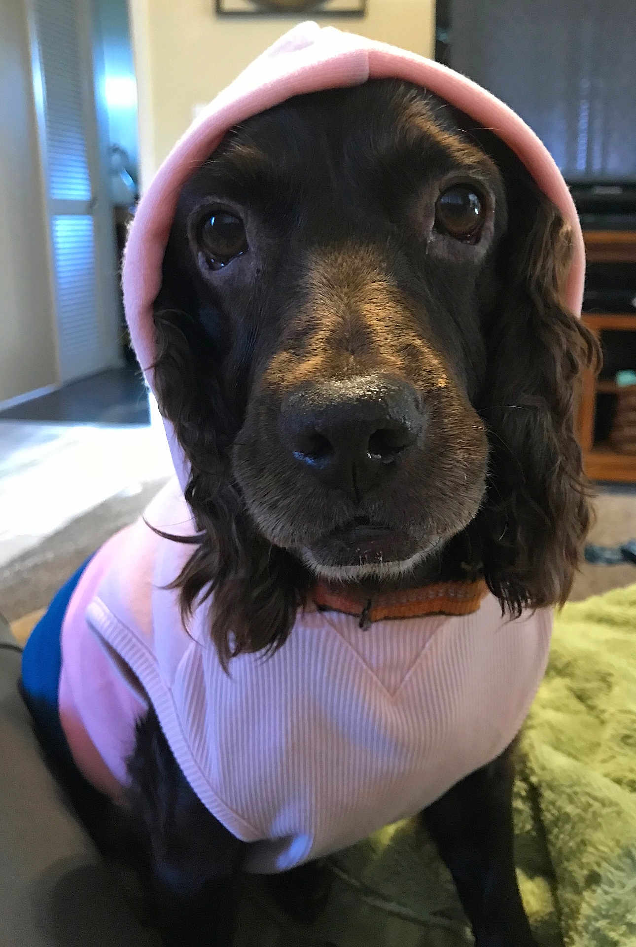 Charlie