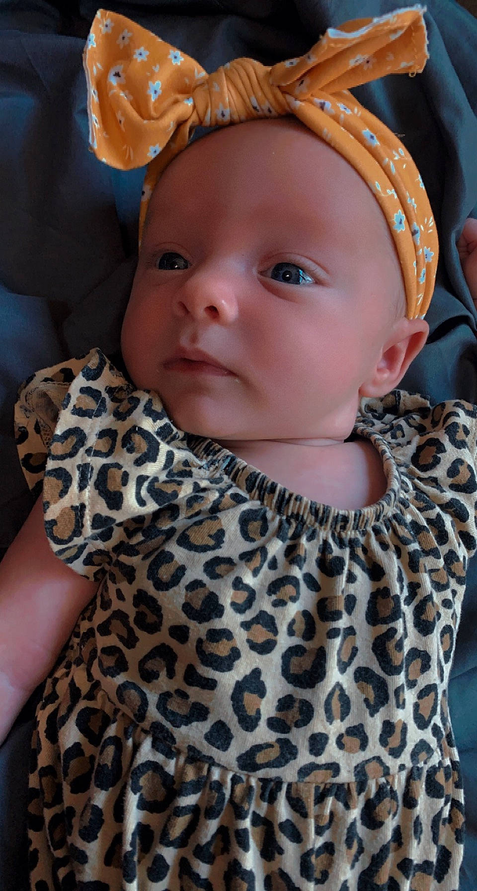 Olivia is registered to the contest to win money with this photo: baby, baby_toddler_clothing, child, day_dress, dress, eyelash, fashion_design, hairstyle, head, headgear, iris, lip, neck, organ, outerwear, person, pink, skin, sleeve, toddler