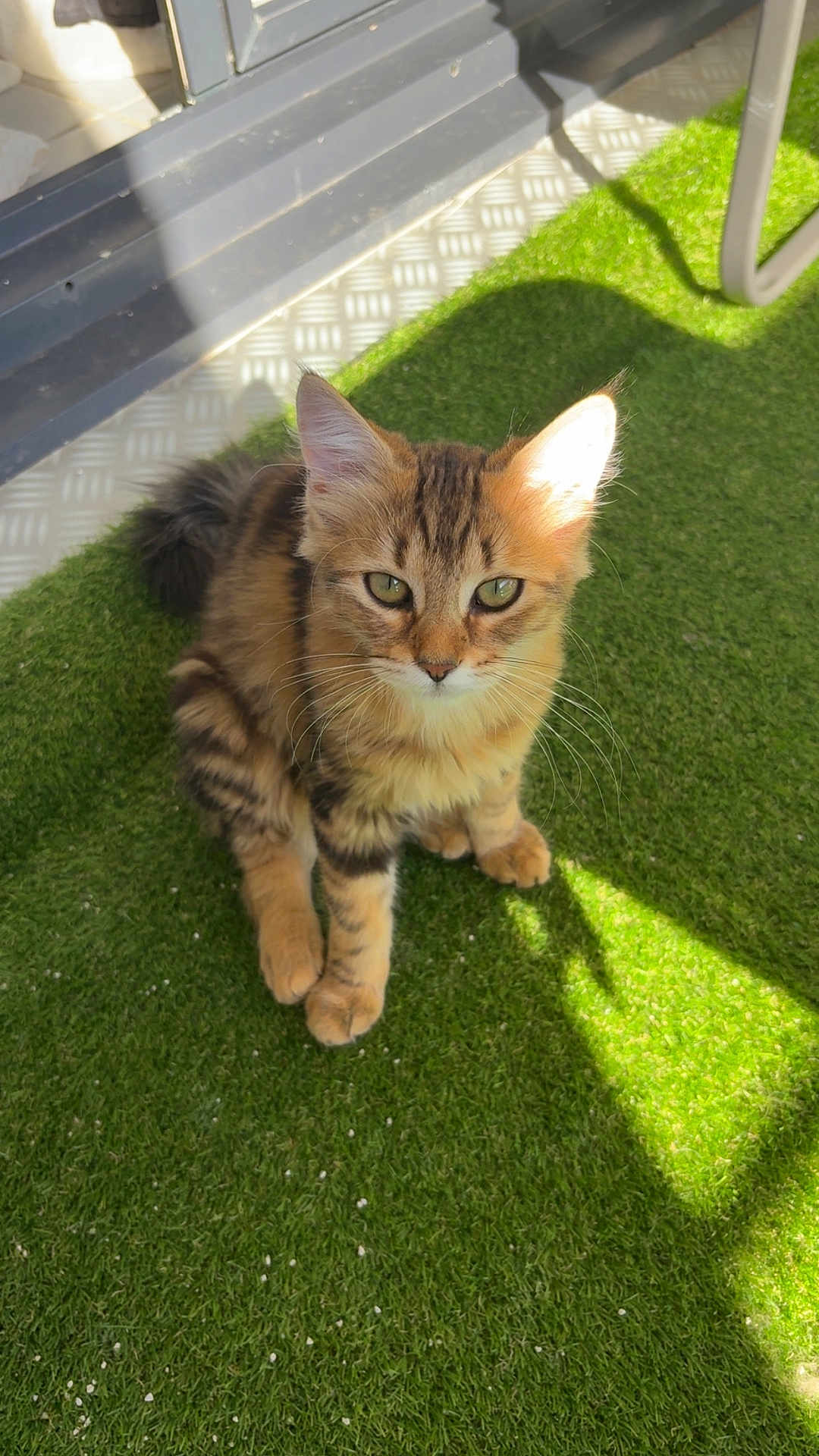 Kira