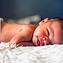 baby, newborn, infant, diaper, smile, smiling, sleeping, blanket, fur, bed, portrait, face, head, cute, cheek, skin, closeup, lying_down, soft_light, indoor