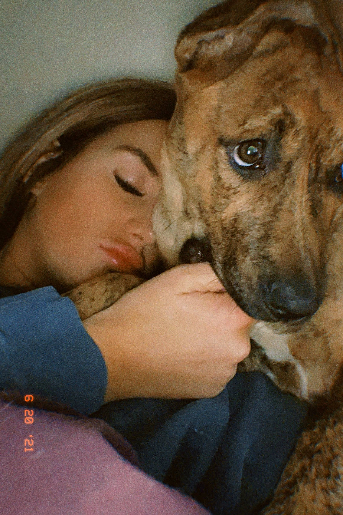 Mira is registered to the contest to win money with this photo: canidae, carnivore, comfort, companion_dog, dog, dog_breed, ear, eyelash, fawn, fur, gesture, head, nail, non_sporting_group, selfie, snout, sporting_group, whiskers, working_dog, wrist