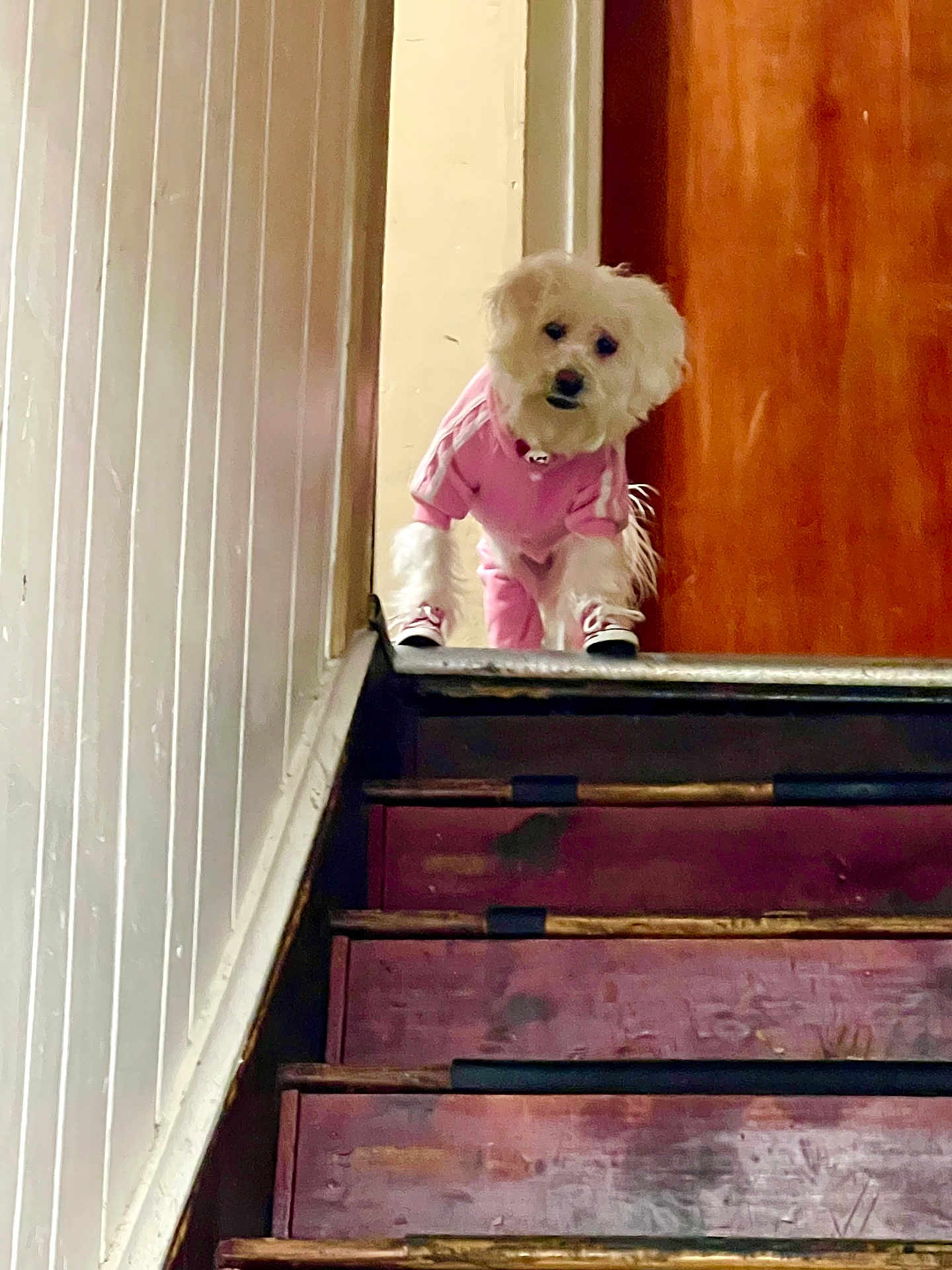 Mia