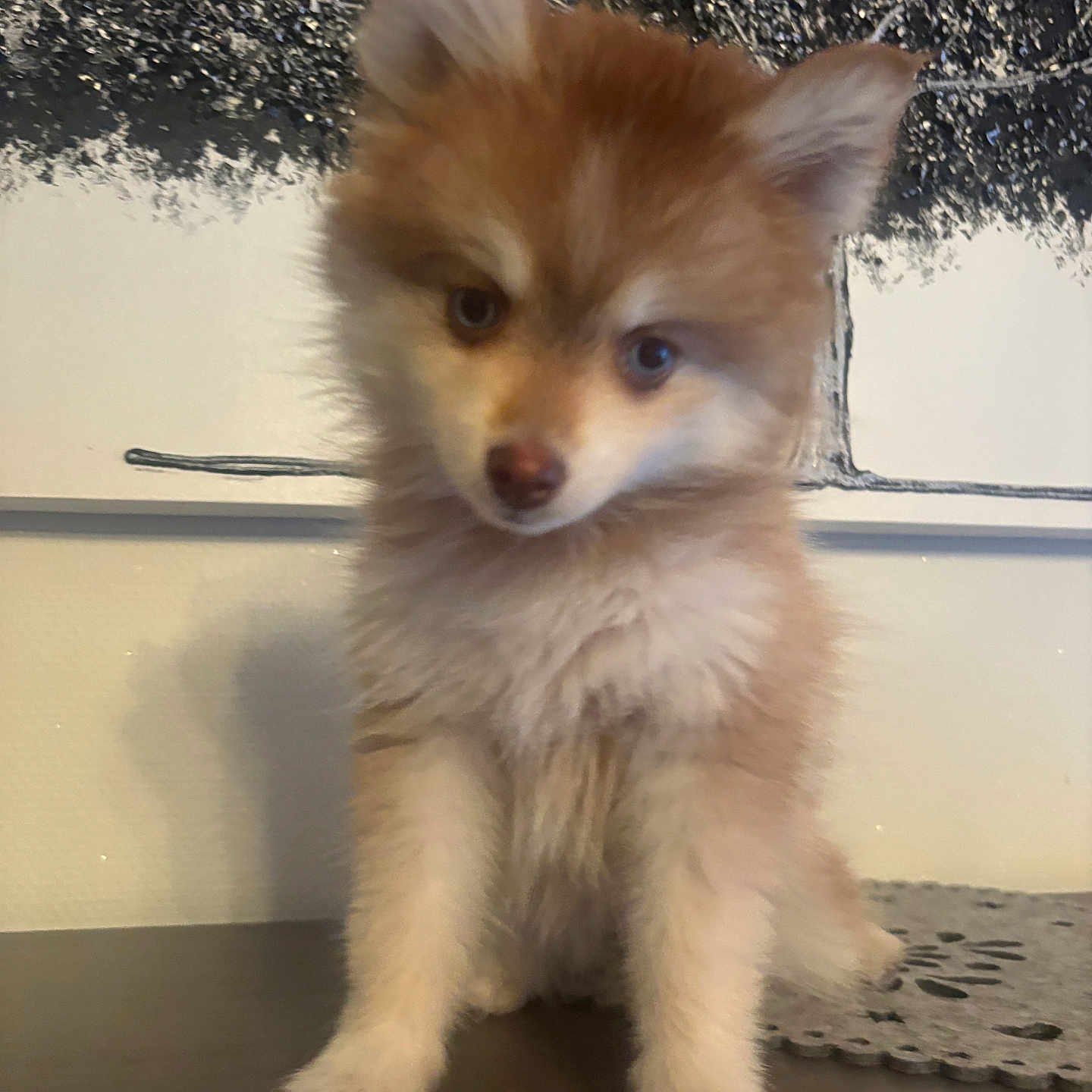 Lumi