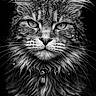 Aya a rejoint le concours — aidez-le/la à gagner de superbes lots ! animal, black_background, cat, close_up, collar, detailed, ears, expression, eyes, feline, fur, intense, majestic, mammal, monochrome, pet, portrait, water_droplets, wet, whiskers