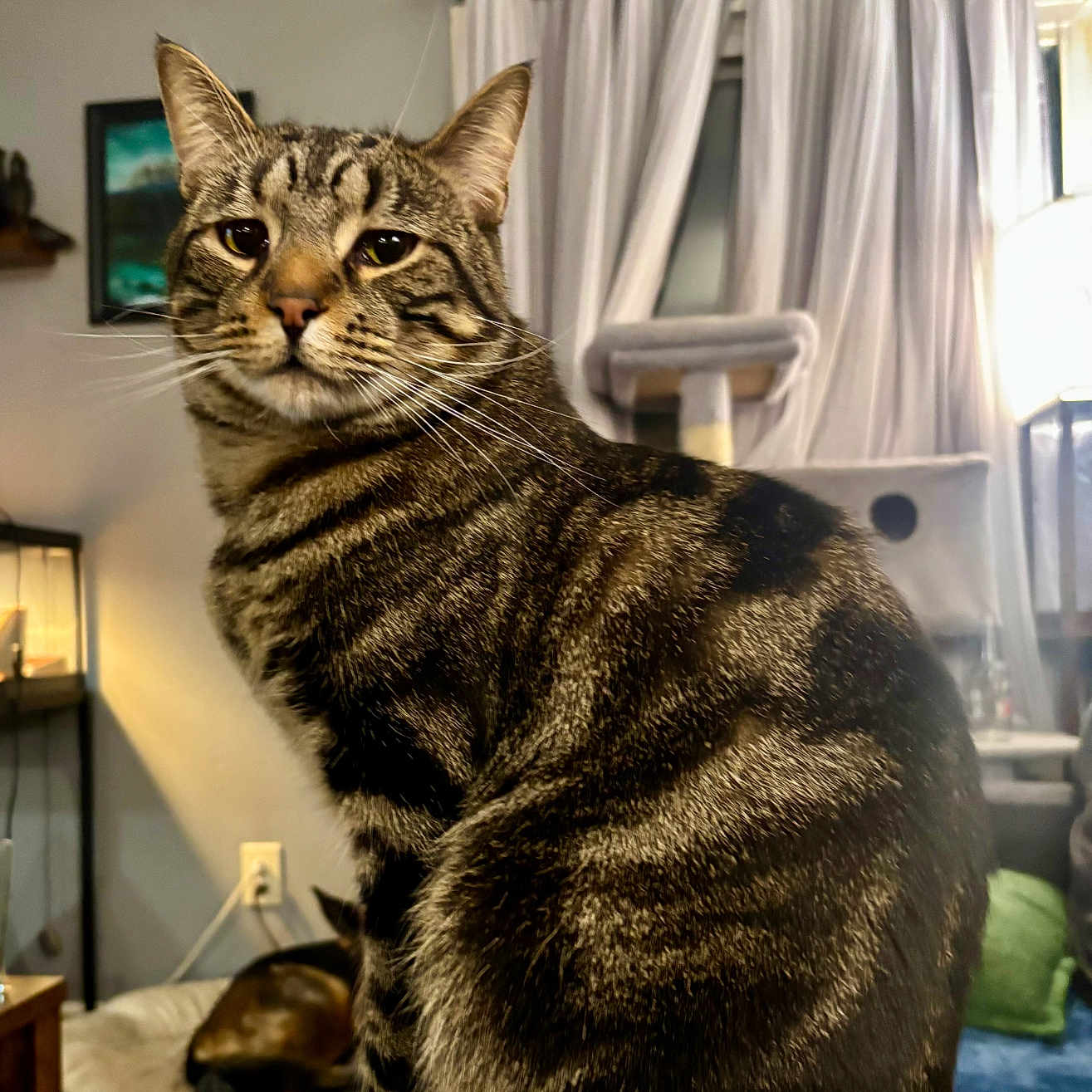 Axel