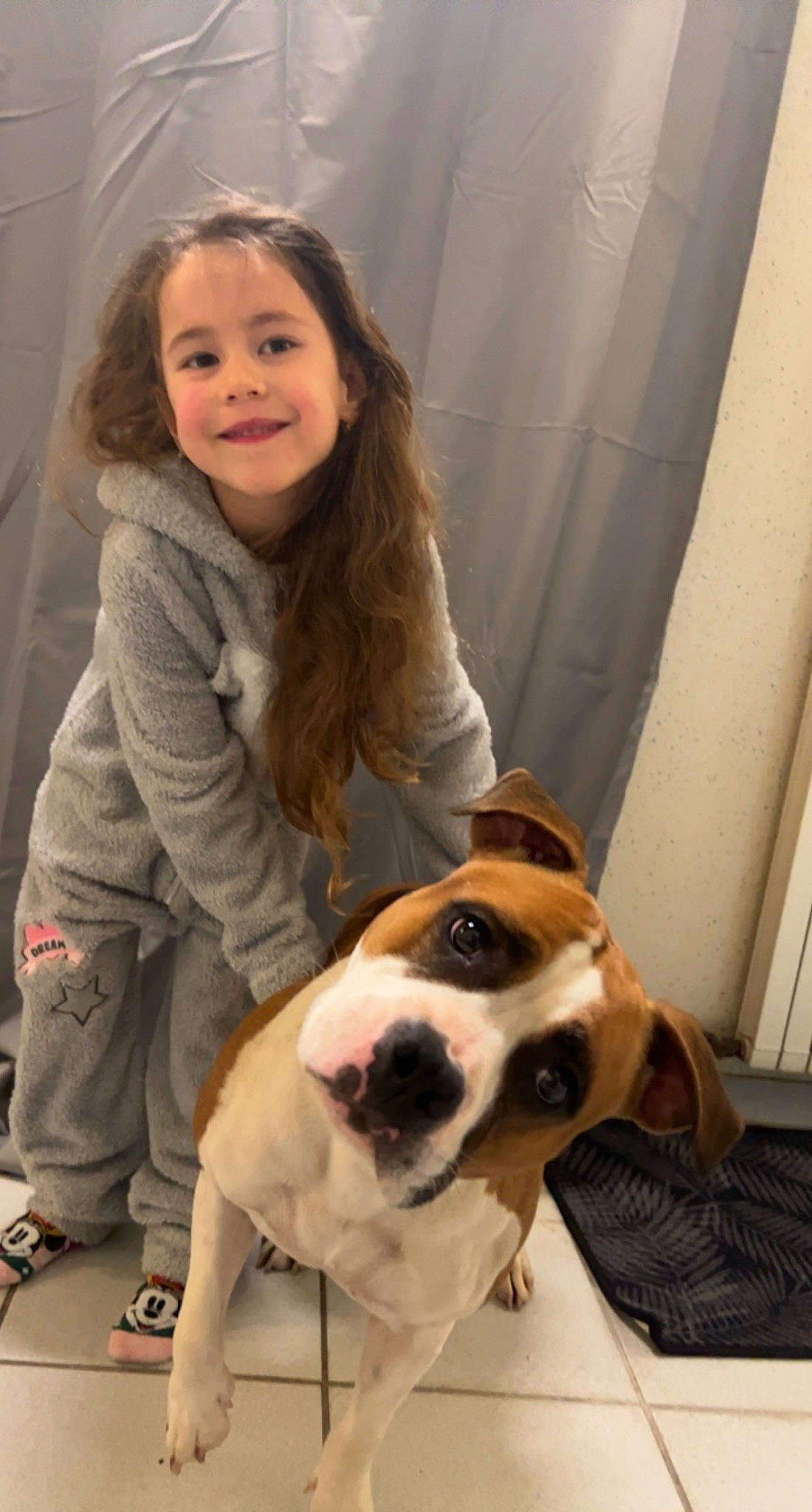 Kenza participe au concours pour gagner de l'argent avec cette photo : ball, carnivore, collar, companion_dog, dog, dog_breed, dog_collar, fawn, flooring, formal_wear, fur, head, joy, person, puppy_love, sitting, smile, sporting_group, toddler, whiskers