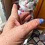 cat, tabby, pet, hand, tongue_out, collar, indoor, floor, wooden_cabinet, nail_art, butterfly, close_up, playful, cute, animal, domestic_cat, feline, person_hand, pink_collar, whiskers