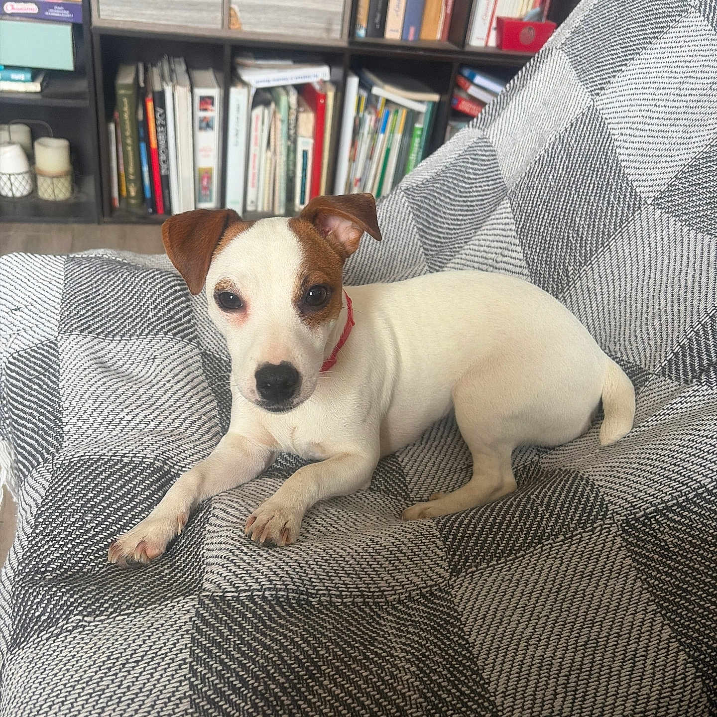 Athena