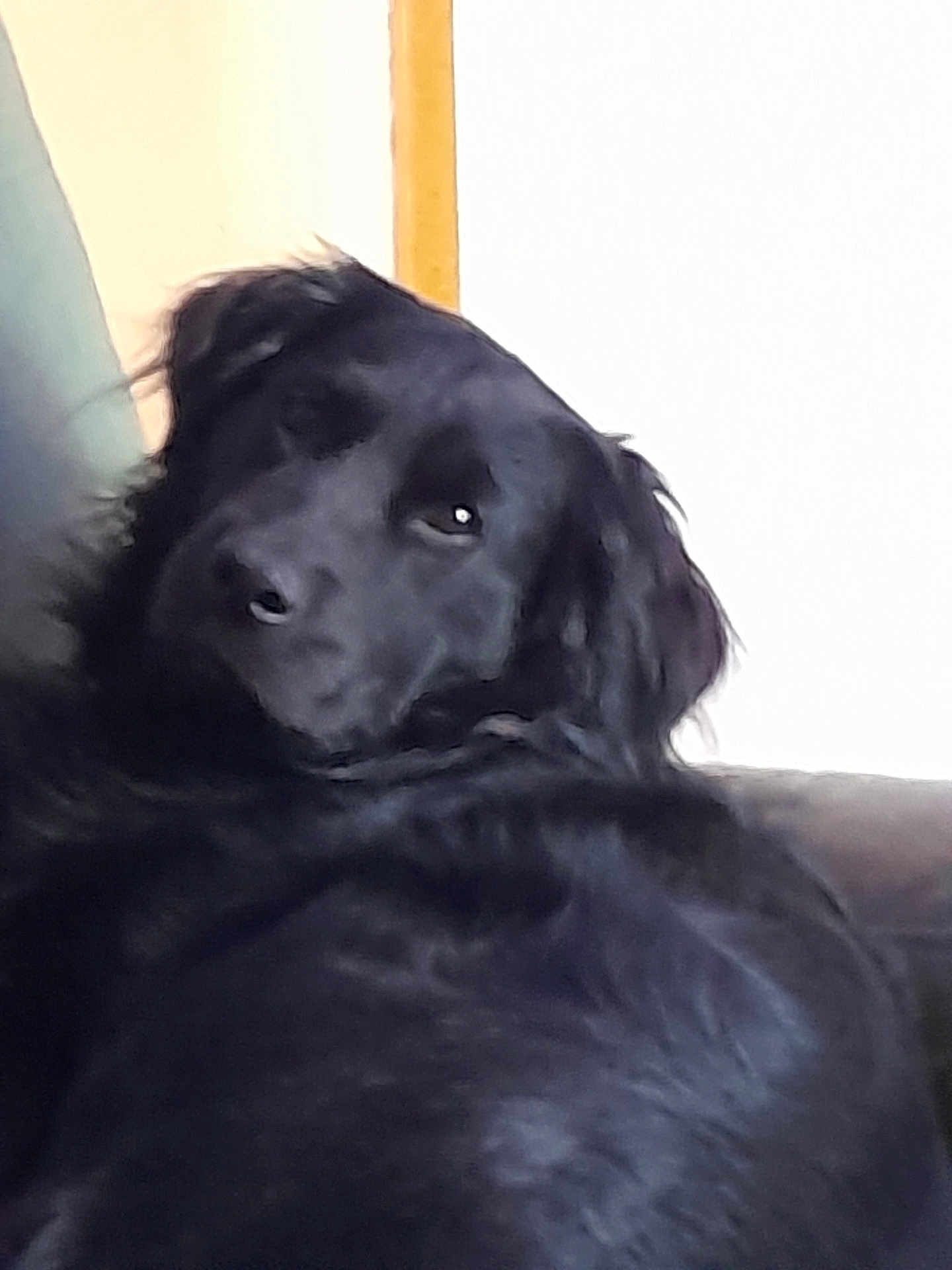 Jack