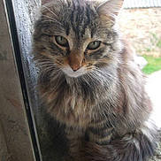 Bounty participe au concours pour gagner de l'argent avec cette photo :