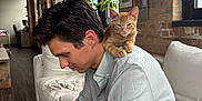 Duck joined the competition — help win amazing prizes! brick_wall, casual_clothing, cat, couch, framed_pictures, home, indoor, kitten, man, modern_interior, natural_light, pet, phone, plant, relaxed, seated, shoulder, watch, window, wood_floor