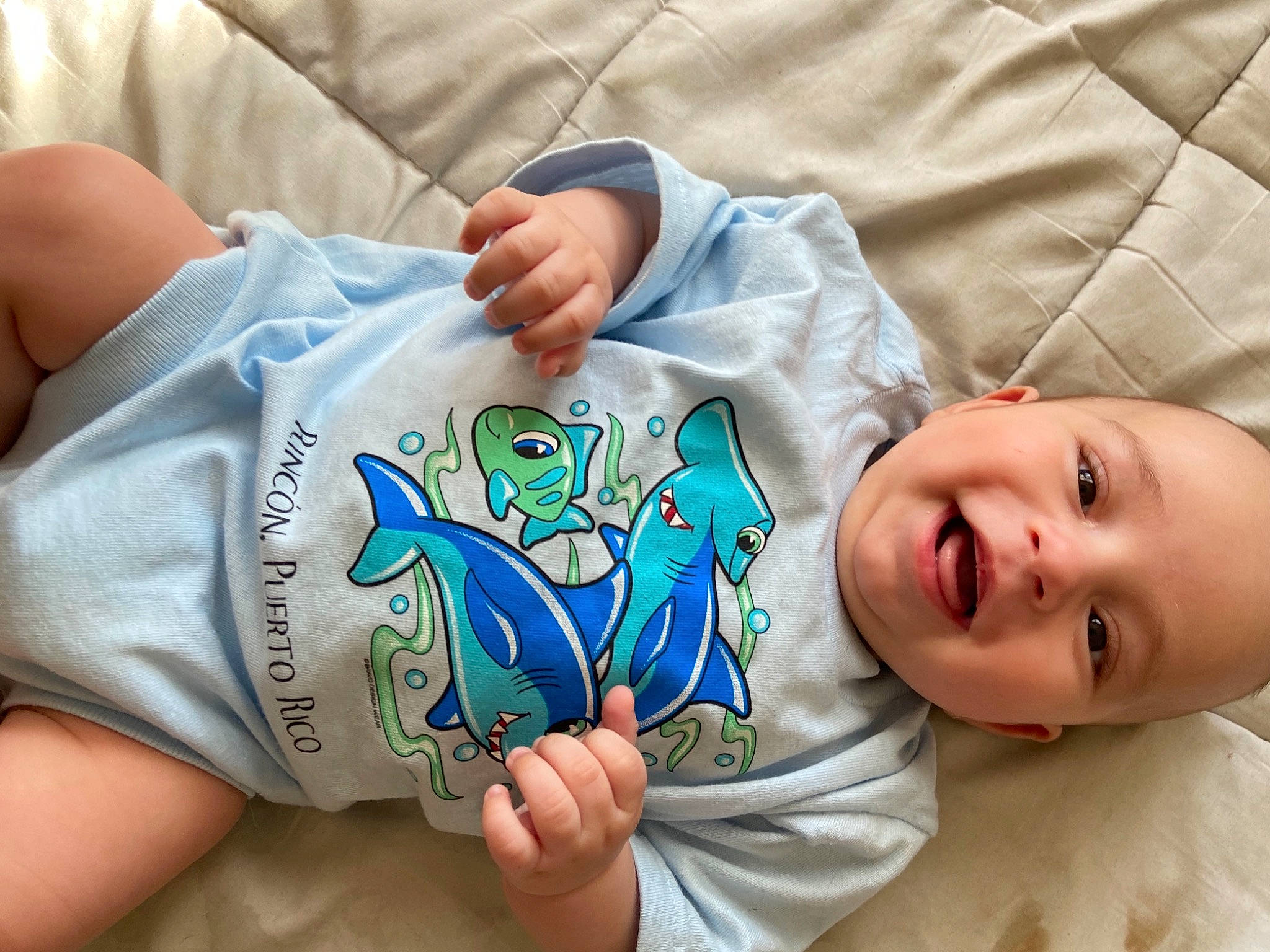 Wyatt is registered to the contest to win money with this photo: arm, baby, baby_toddler_clothing, cheek, comfort, elbow, facial_expression, finger, hand, happy, head, human_body, leg, mammal, mouth, neck, person, skin, sleeve, smile