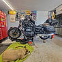 Milo is registered to the contest to win money with this photo: blanket, dog, door, exhaust, flag, floor, garage, helmet, light, motorcycle, seat, shelving, sign, storage, tire, tool_chest, tools, wall, window, workshop