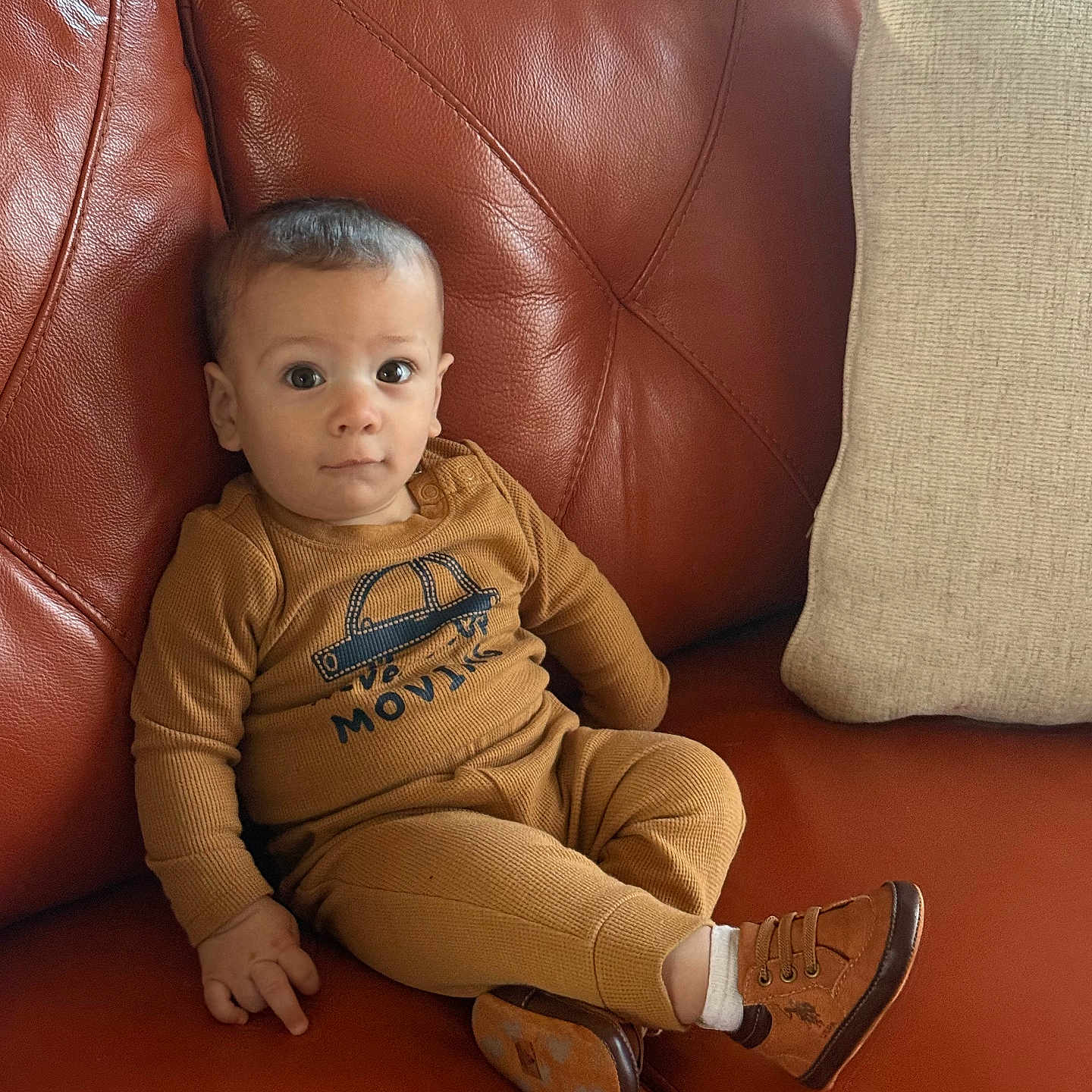 Robert Ethan is registered to the contest to win money with this photo: baby, brown_clothing, casual, child, comfortable, couch, cozy, cute, expression, face, furniture, indoors, infant, leather, person, pillow, portrait, shoe, sitting, sock
