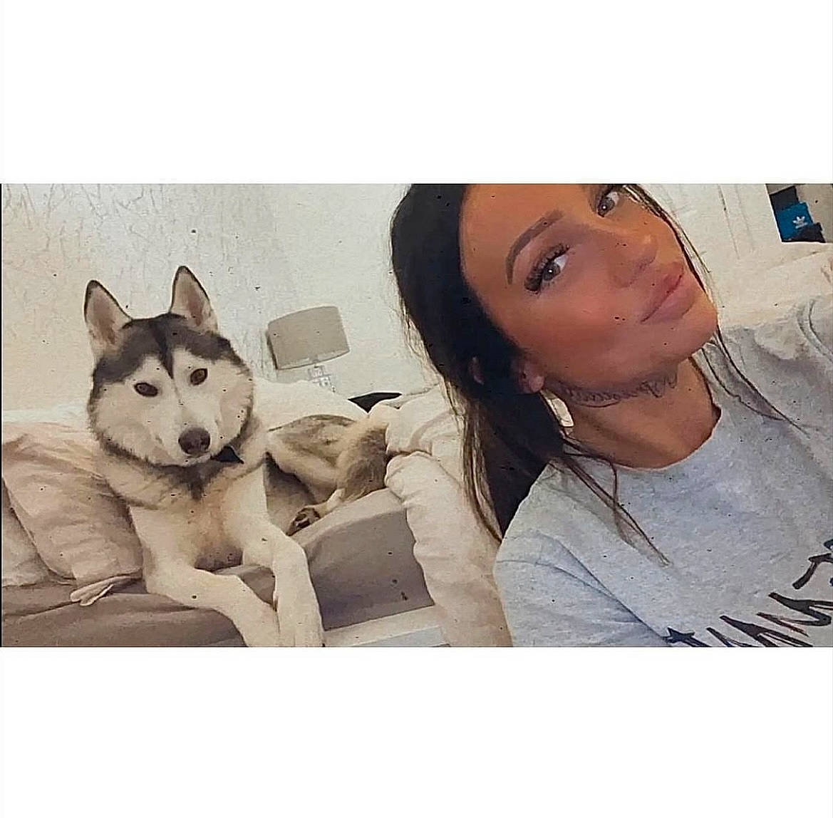 Wolfie is registered to the contest to win money with this photo: carnivore, clothing, comfort, companion_dog, cool, dog, dog_breed, eyelash, eyewear, fashion_accessory, font, fur, happy, jaw, linens, selfie, sitting, sleeve, t_shirt, working_animal