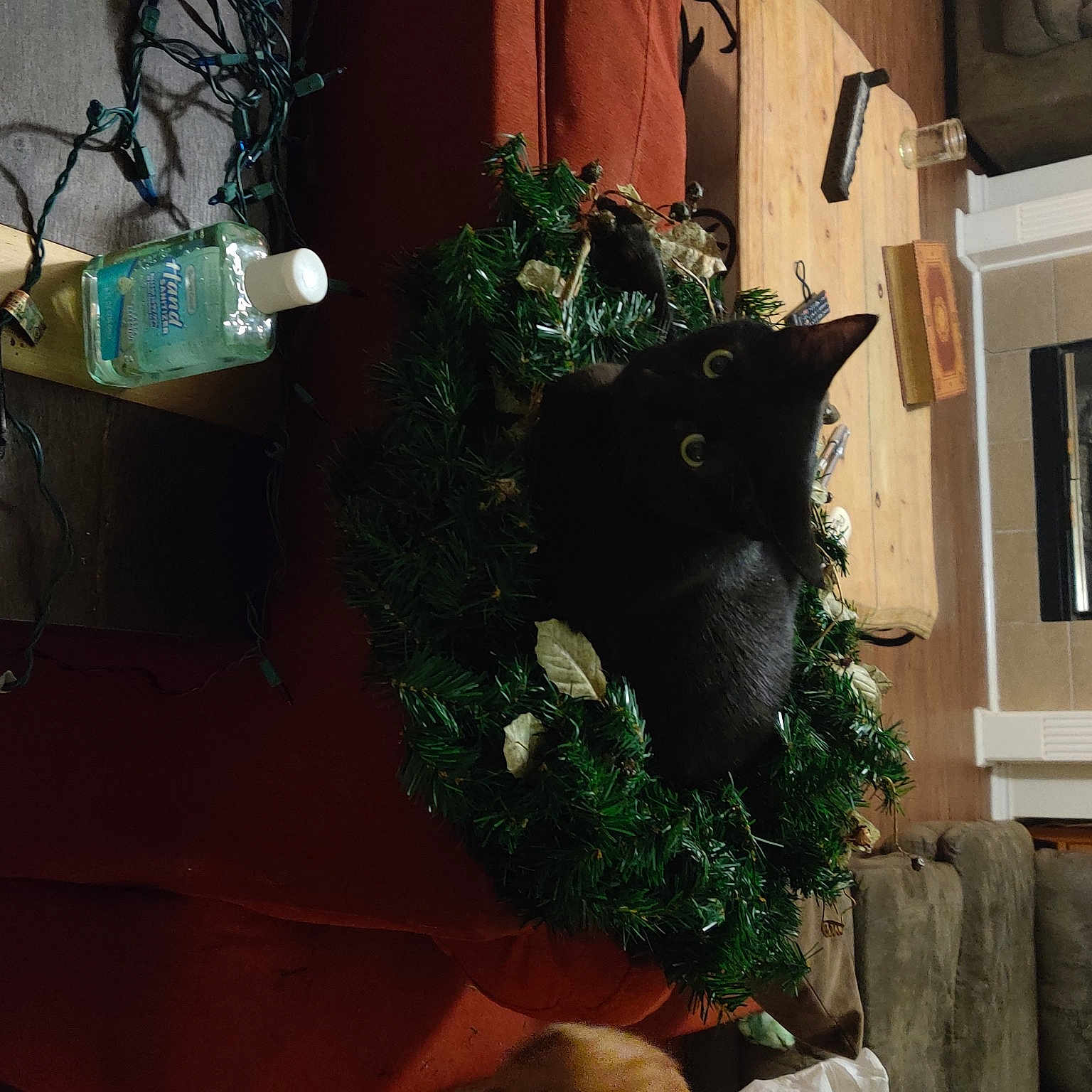 Mr. Midnight