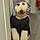 Dixie Mae