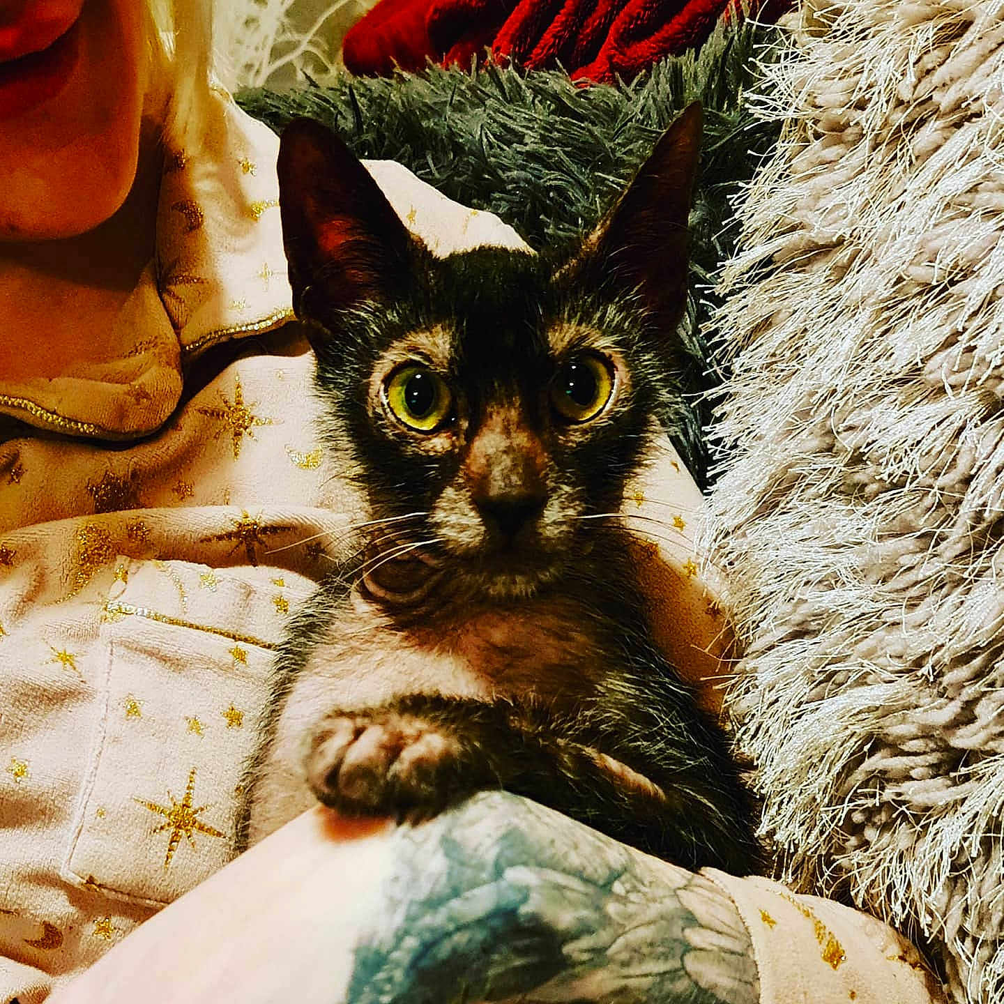 Lucifer