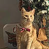 cat, orange_tabby, bow_tie, christmas_tree, ornaments, marble_countertop, holiday_decor, indoor, pet, feline, curious, festive, decorations, animal, domestic_cat, winter, seasonal, red_bow, tree, cozy