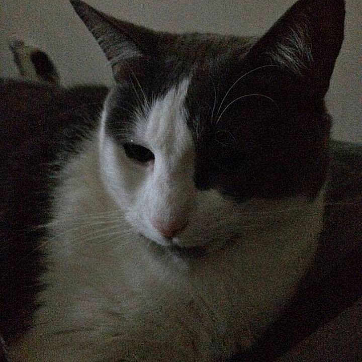 Leggo is registered to the contest to win money with this photo: