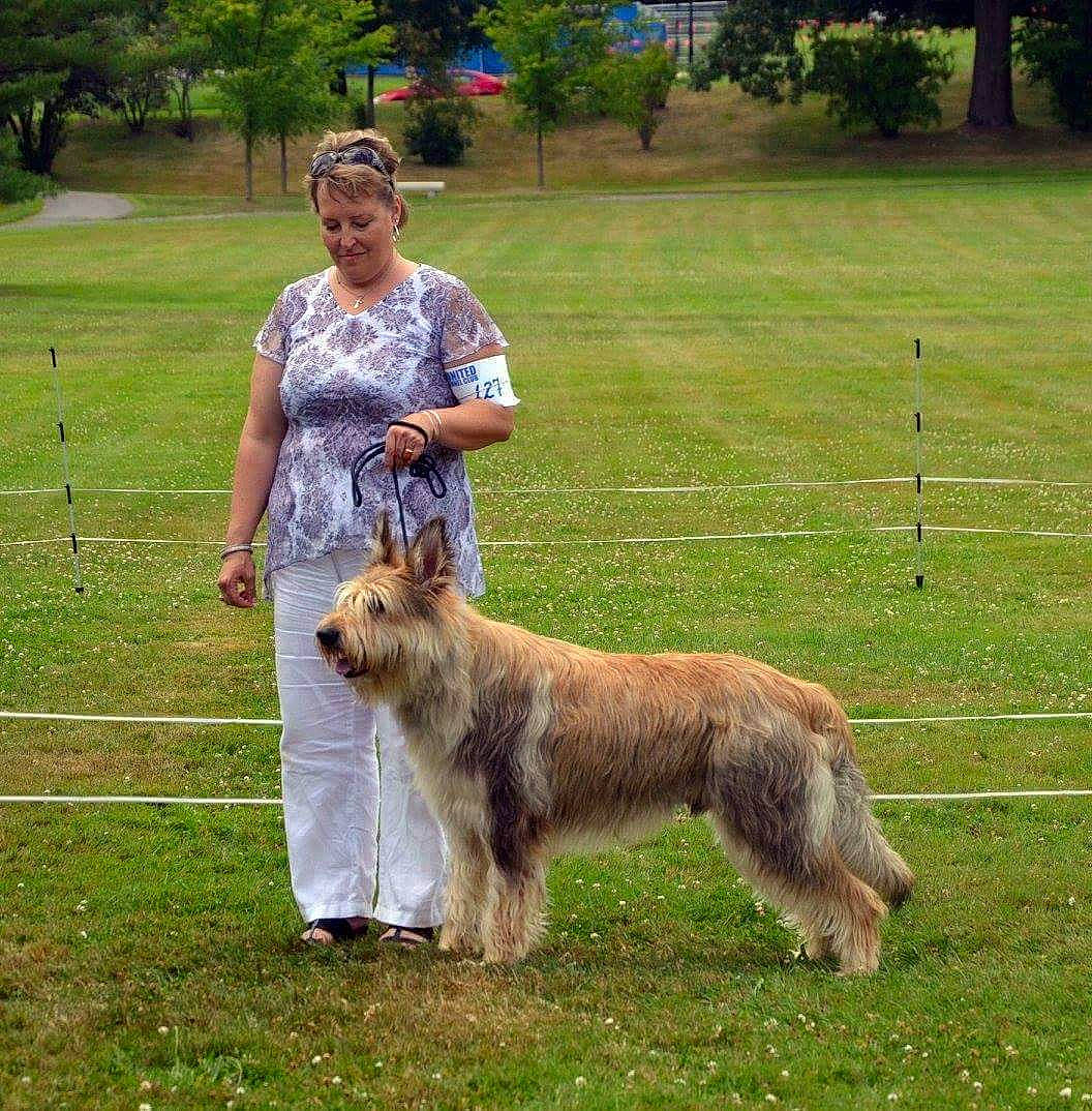 Oliver joined the competition — help win amazing prizes! bosnian_coarse_haired_hound, canidae, carnivore, companion_dog, dog, dog_breed, fawn, fur, human, irish_wolfhound, mammal, otterhound, small_terrier, sporting_group, tail, terrier, vertebrate