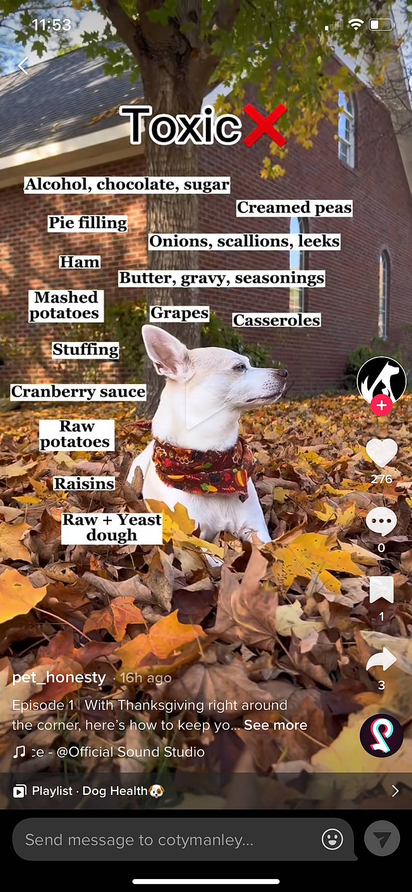 Missy is registered to the contest to win money with this photo: adaptation, adventure, advertising, art, carnivore, companion_dog, deciduous, dog, dog_breed, dog_supply, fawn, font, grass, pet_supply, photo_caption, poster, publication, recipe, soil, working_animal