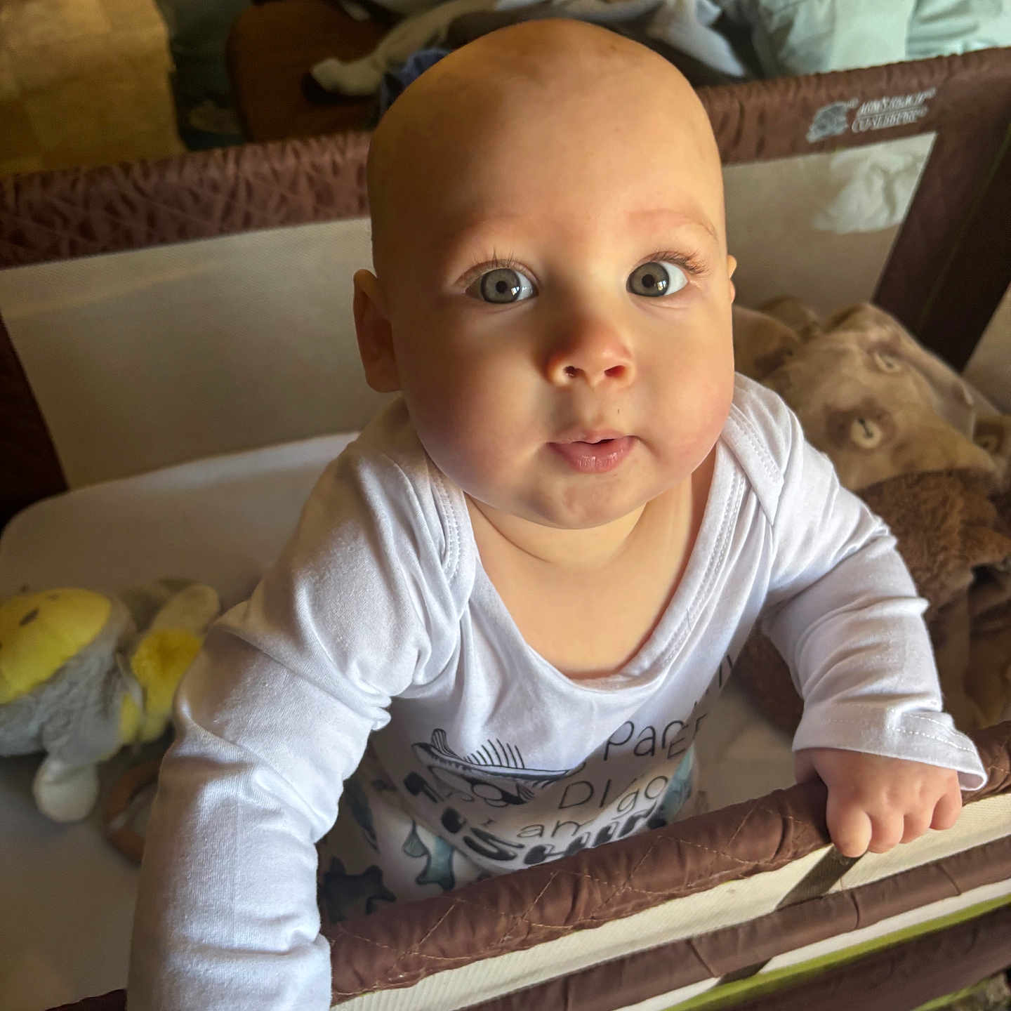 Kaleb is registered to the contest to win money with this photo: baby, blanket, child, clothing, curious, cute, expression, face, furniture, hand, home, indoor, infant, light, looking_up, person, playpen, soft_toy, standing, toy