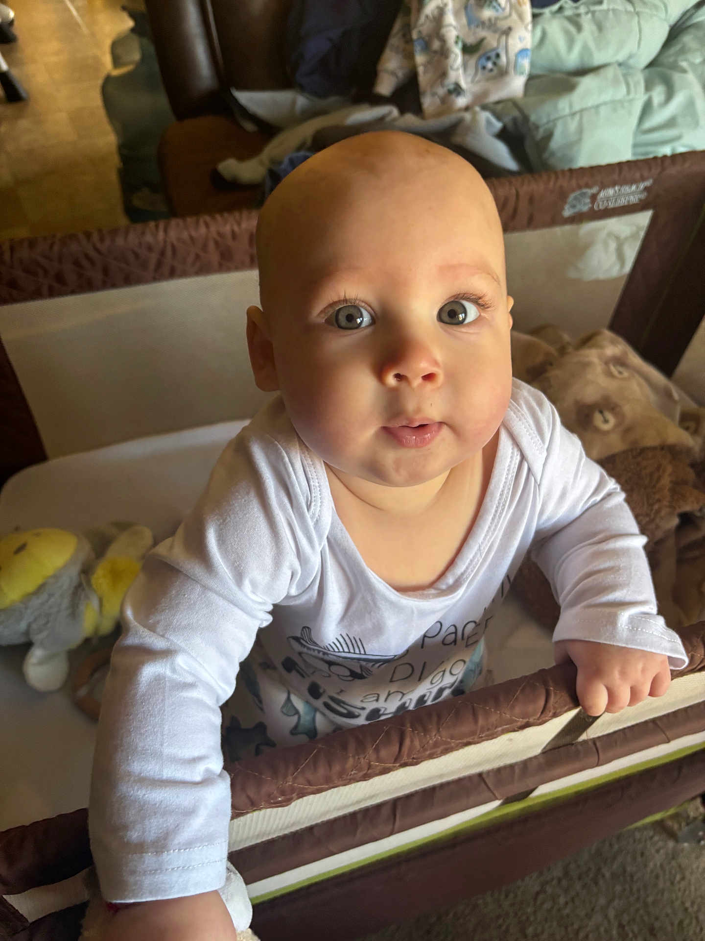 Kaleb is registered to the contest to win money with this photo: baby, child, playpen, toy, blanket, indoor, person, infant, clothing, cute, face, hand, expression, home, furniture, soft_toy, looking_up, curious, standing, light