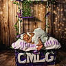 Cyanii is registered to the contest to win money with this photo: baby, sleeping, newborn, pillow, purple_flowers, green_vines, swing, wooden_background, soft_lighting, decor, infant, headband, dress, floor, portrait, cute, peaceful, indoor, resting, toddler
