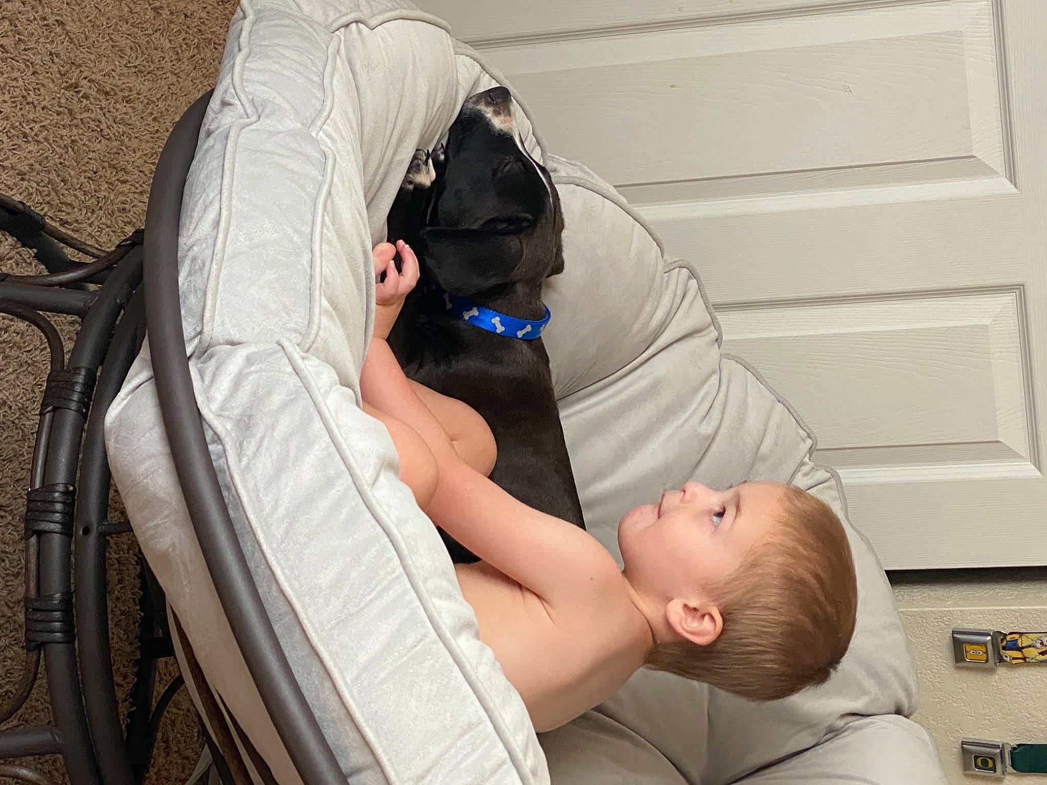 Jasper is registered to the contest to win money with this photo: baby, baby_products, birth, child, comfort, nap, product, toddler