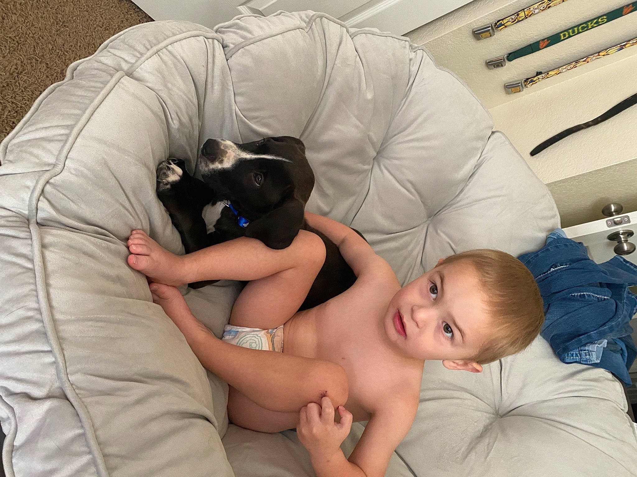 Jasper joined the competition — help win amazing prizes! arm, baby, birth, black_hair, child, comfort, finger, interaction, leg, muscle