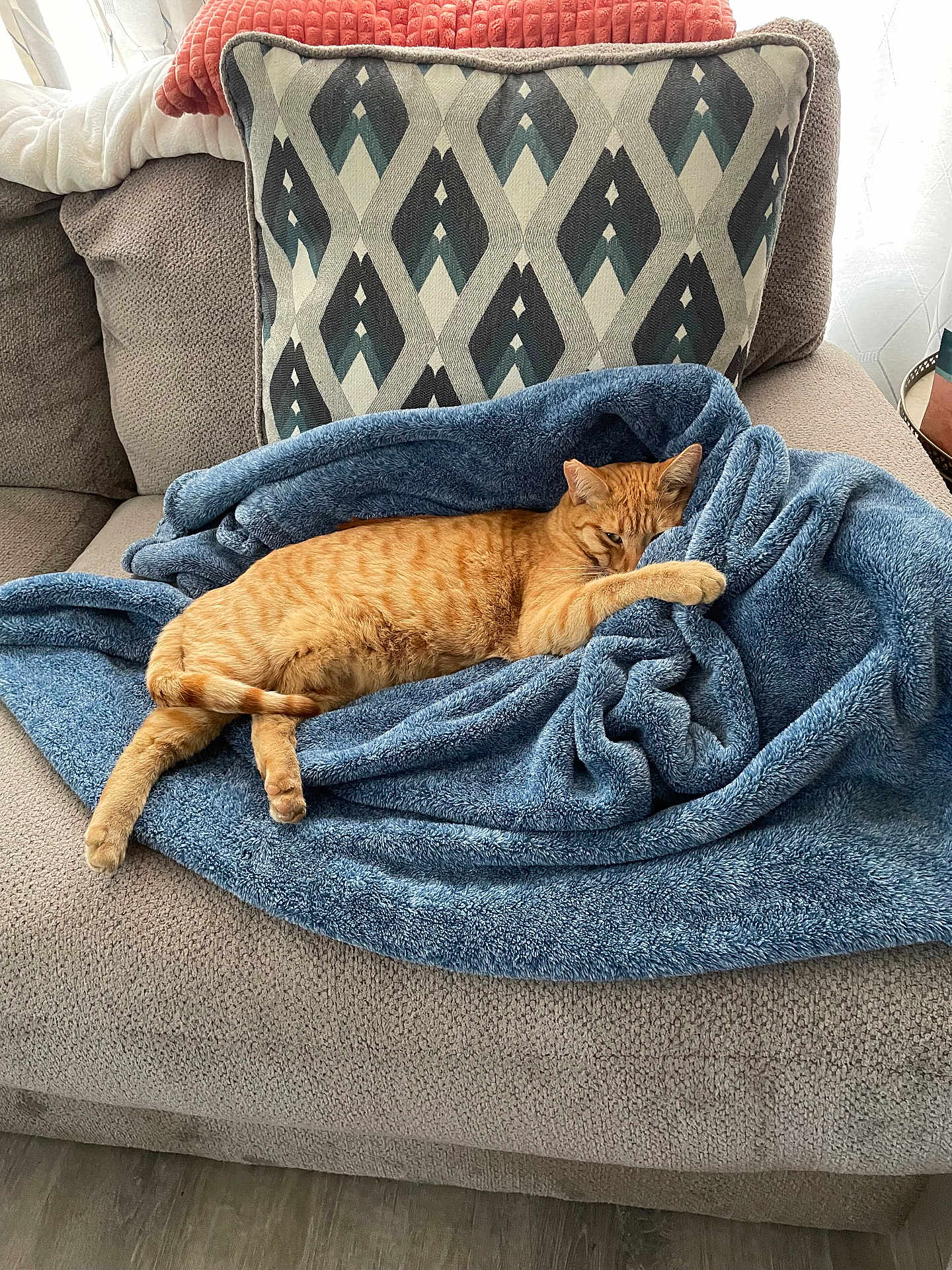Rotten is registered to the contest to win money with this photo: blanket, cat, couch, cozy, decorative_pillow, feline, fur, ginger_cat, home_interior, living_room, nap, orange_cat, paw, pet, pillow, relaxed, sofa, tabby, throw_blanket, whiskers