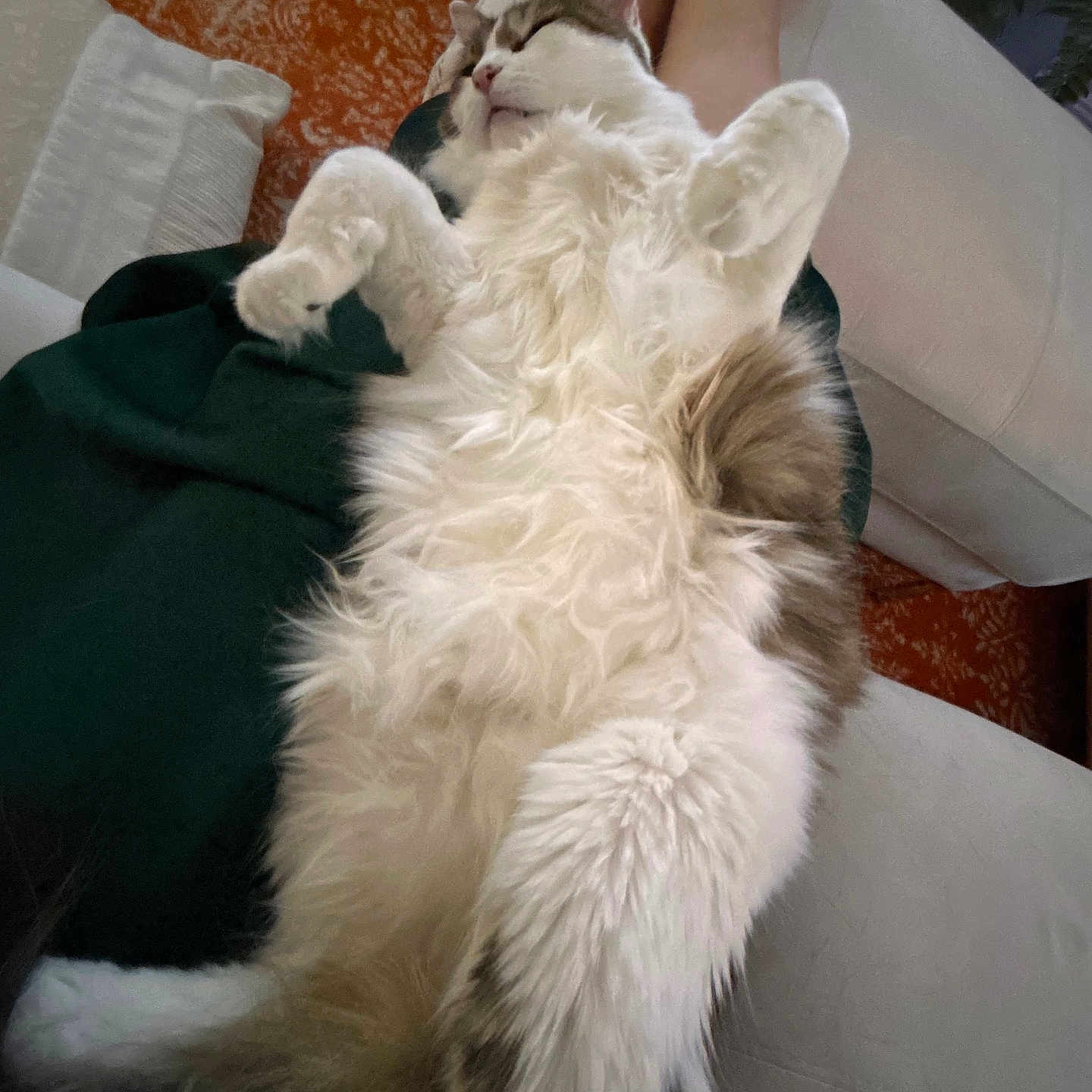 Smudge