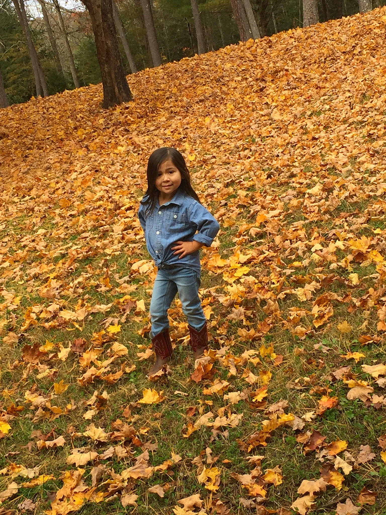Charliee is registered to the contest to win money with this photo: autumn, child, deciduous, leaf, people_in_nature, person, plant, play, tree