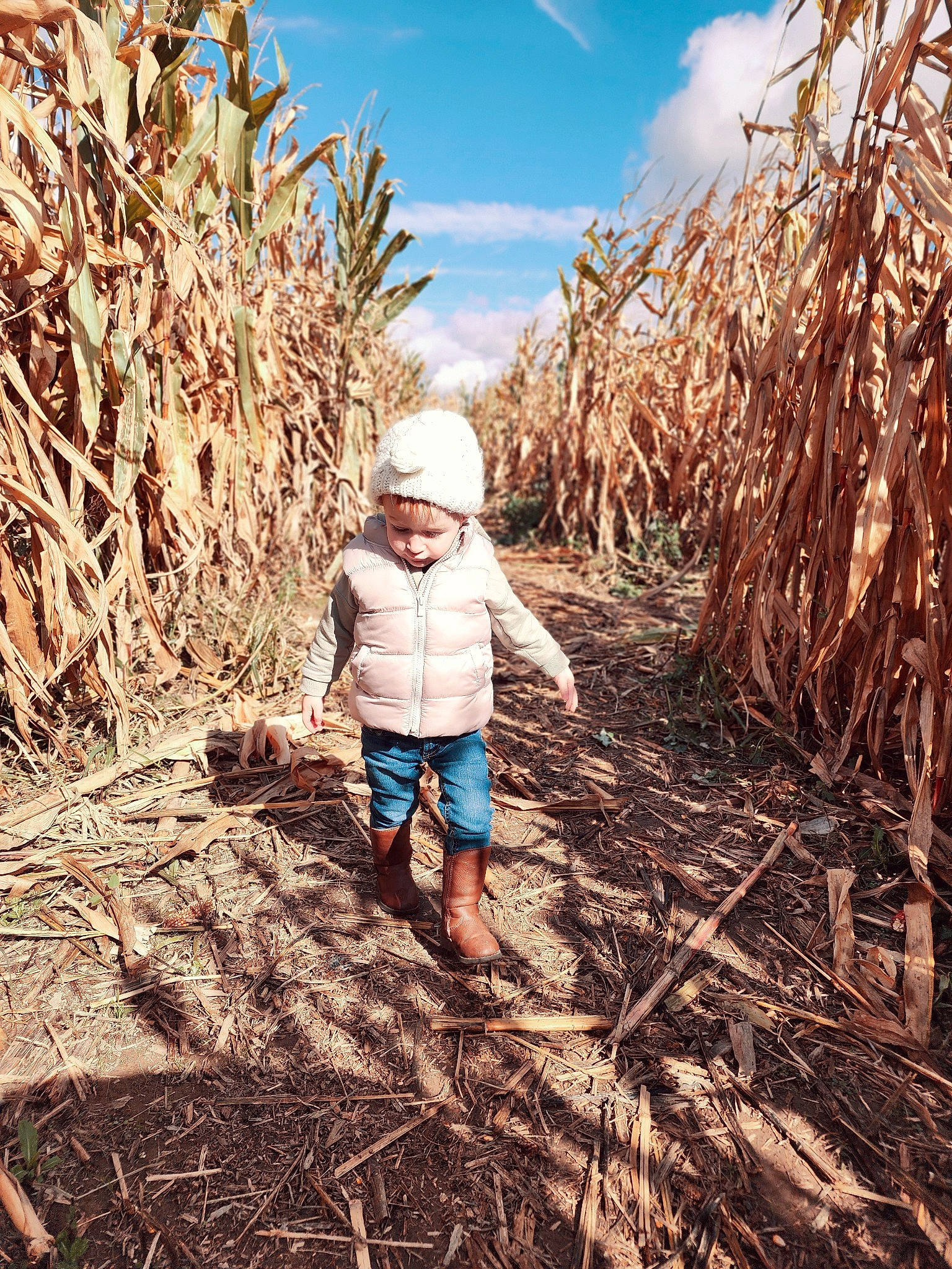 Emarie is registered to the contest to win money with this photo: adaptation, agriculture, baby, child, cloud, field, fun, grass, grass_family, happy, hat, headwear, landscape, people_in_nature, person, plant, rural_area, sky, soil, sunlight