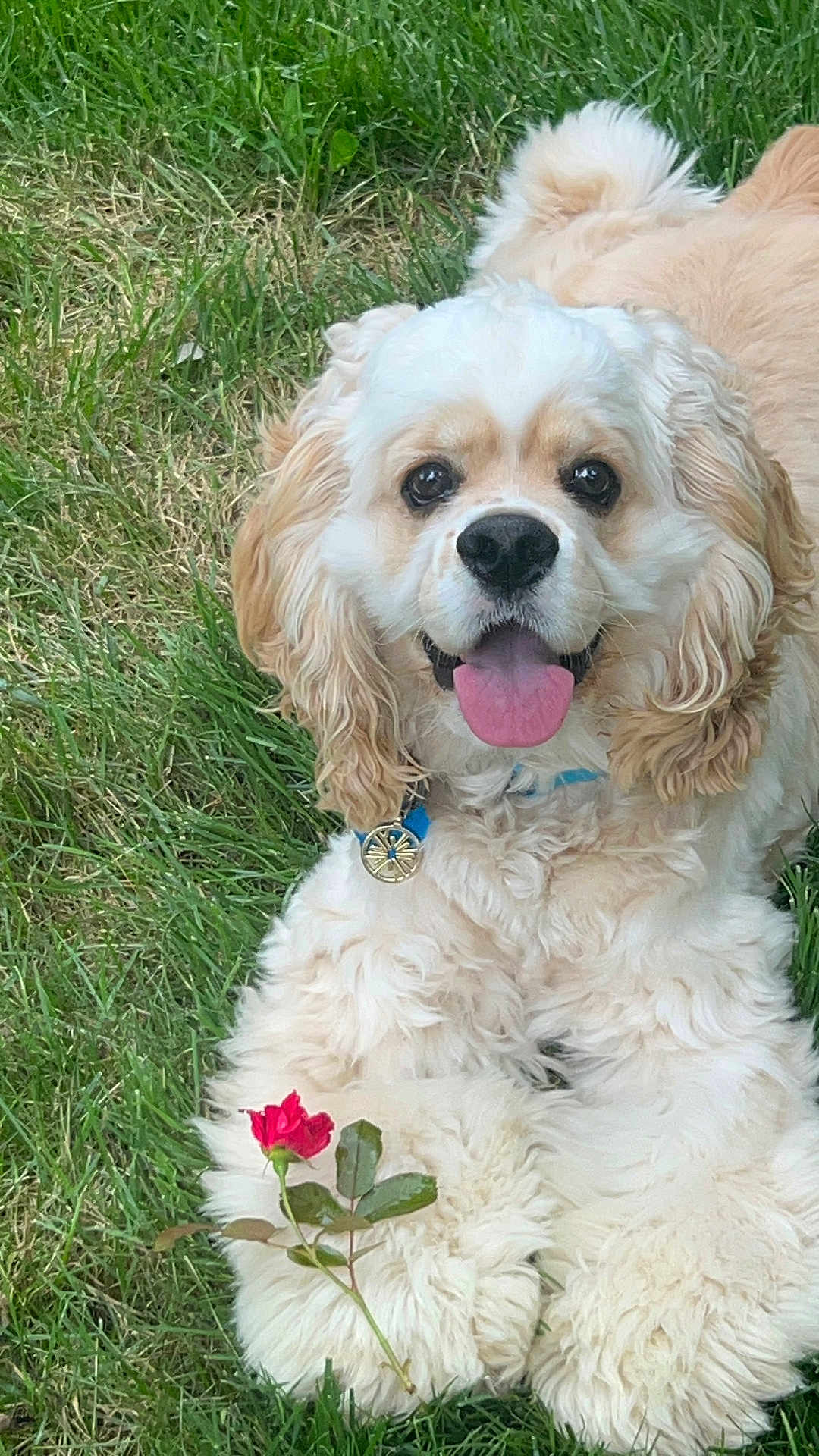 Leo