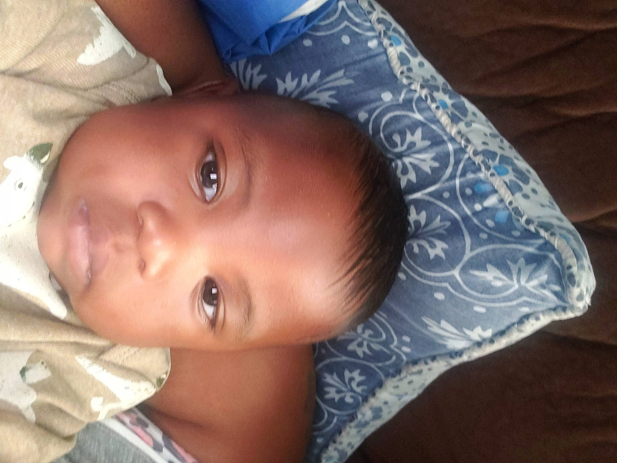 Jakobi joined the competition — help win amazing prizes! baby, black_hair, cheek, child, cool, eyebrow, eyelash, forehead, hairstyle, happy, human_body, iris, lip, mouth, neck, nose, person, plant, skin, smile