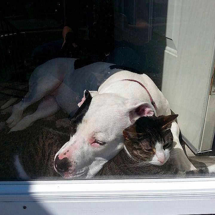 Kipper joined the competition — help win amazing prizes!