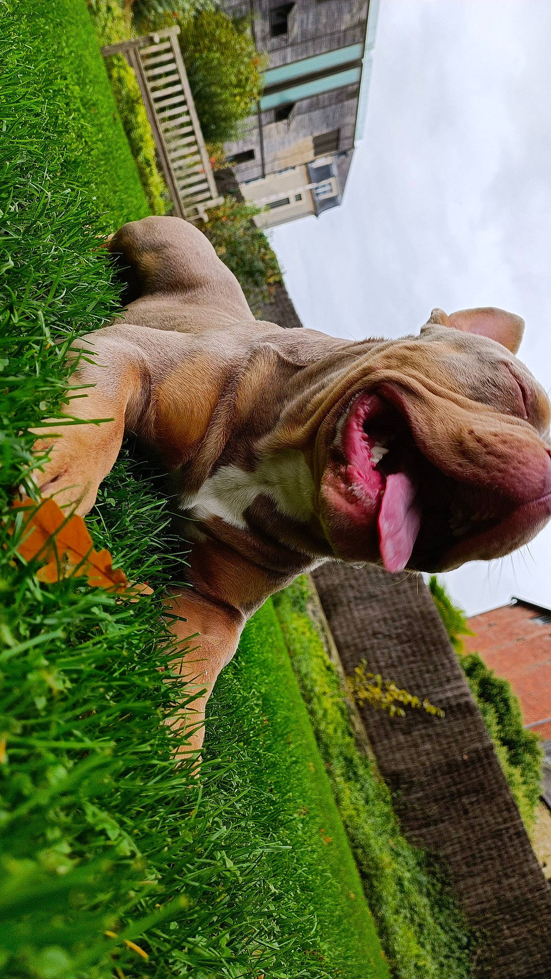 Saïko participe au concours pour gagner de l'argent avec cette photo : art, fawn, flower, garden, grass, groundcover, landscape, lawn_ornament, leisure, mammal, plant, sculpture, shrub, sky, sporting_group, statue, tree, vertebrate, wood, working_animal