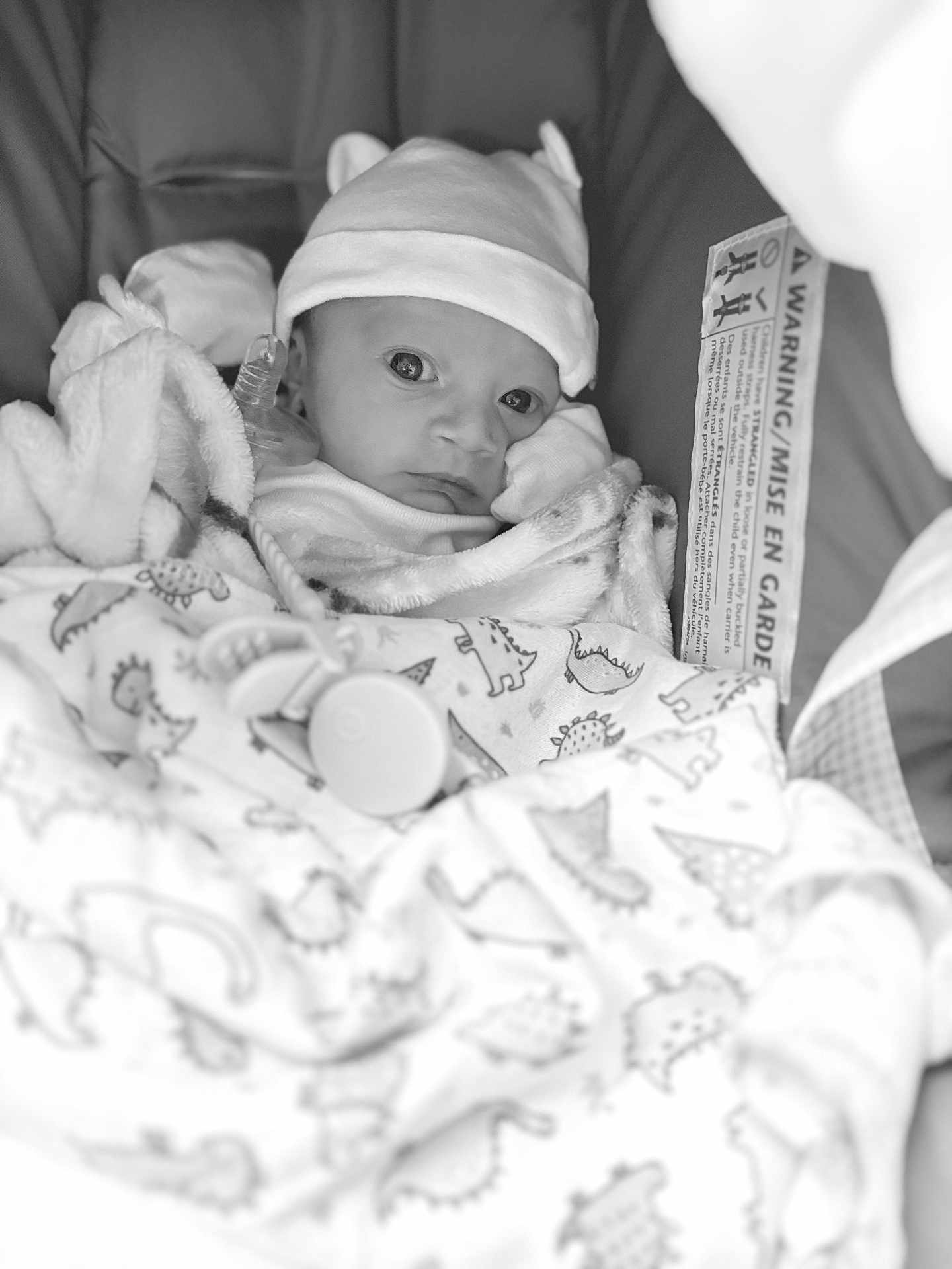 Zyel is registered to the contest to win money with this photo: baby, infant, blanket, dinosaur_pattern, hat, carrier, face, eyes, clothing, cozy, cushion, newborn, portrait, wrapped, indoor, cute, expression, soft, warm, child