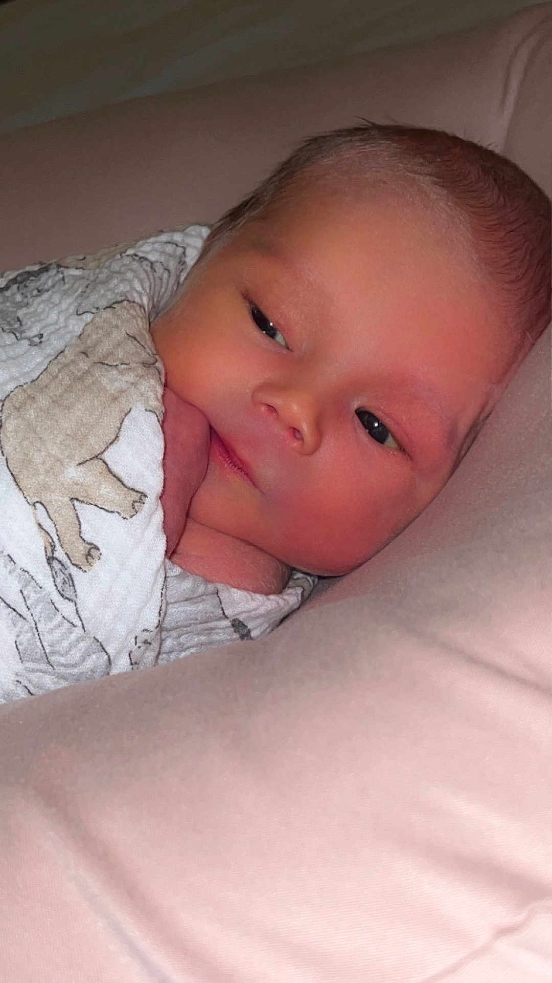 Cyrus joined the competition — help win amazing prizes! newborn, baby, swaddled, blanket, animal_print, face, head, pillow, resting, sleepy, infant, soft, cute, peaceful, skin, person, closeup, indoors, portrait, child