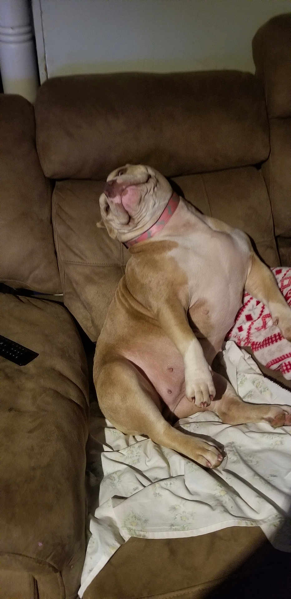 Nala