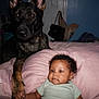 Kaiser joined the competition — help win amazing prizes! baby, dog, indoor, pillow, bed, blanket, curly_hair, furniture, domestic_animal, pet, human, child, resting, brown_skin, canine, mammal, sleepwear, room, comfort, companionship
