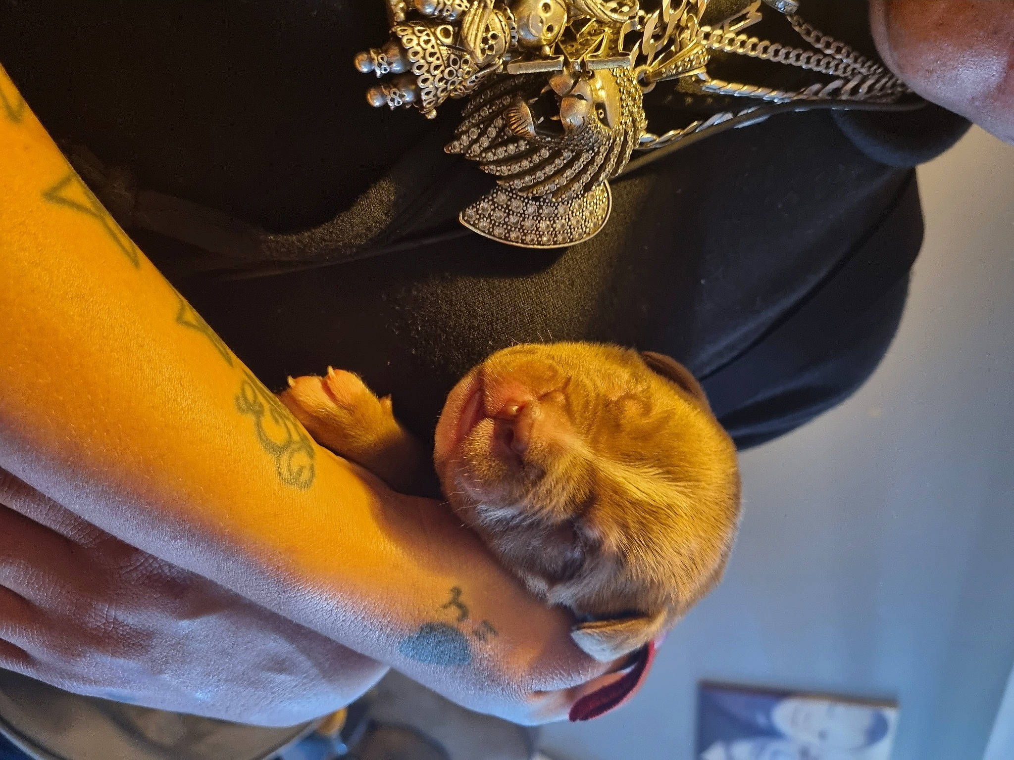 Creme joined the competition — help win amazing prizes! button, fashion_accessory, finger, fur, gesture, gold, human_leg, jewellery, linens, metal, nail, pattern, peach, sleeve, textile, wrist