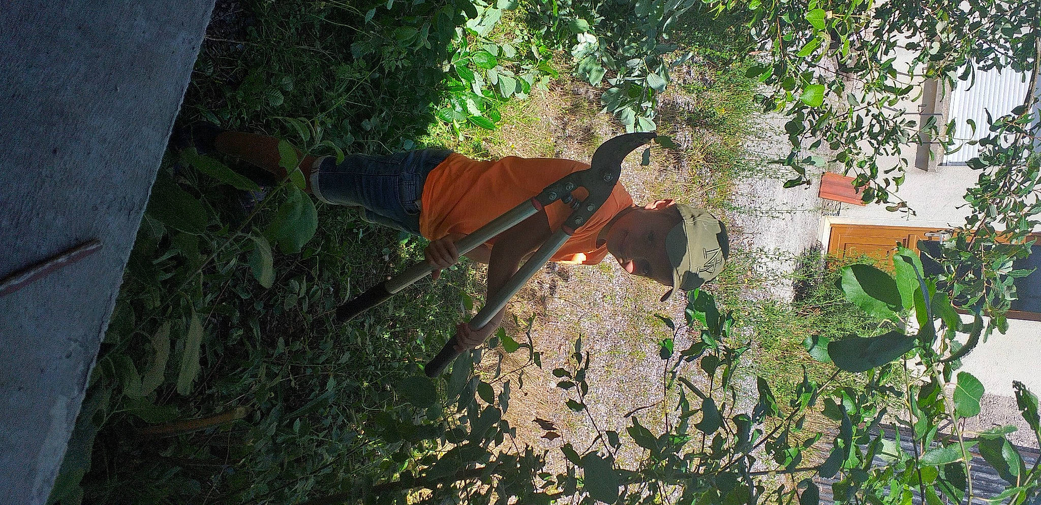 Thibaut participe au concours pour gagner de l'argent avec cette photo : adaptation, headwear, jungle, organism, person, plant, tree